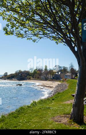 Black Sands Beach in Aberdour Fife Schottland Stockfoto