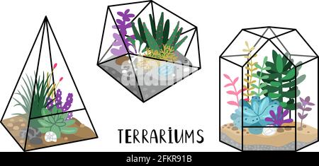 Terrarien mit Pflanzen. Cartoon-Gärten mit Sukkulenten in geometrischen Kristallterrarien, handgezeichnete florale Natur, Vektor-Illustration Konzept der Gartenarbeit isoliert auf weißem Backgro Stock Vektor