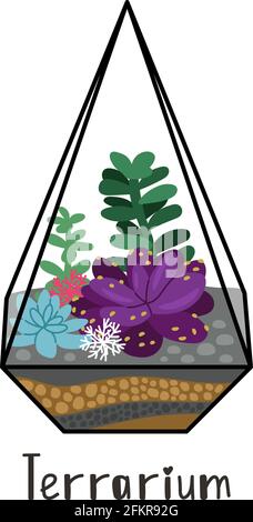 Sukkulenten im Terrarium. Cartoon-Garten mit Pflanzen, handgezeichnete niedliche florale Natur in geometrischen Kristall-Terrarium, Vektor-Illustration Konzept der Gartenarbeit isoliert auf weißem Backgro Stock Vektor