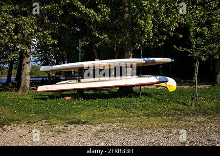 Kanus hore in einem Park Stockfoto