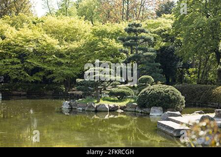 Schöner See in einem Park mit einer kleinen künstlichen Insel Auf den Felsen wachsen Bäume Stockfoto