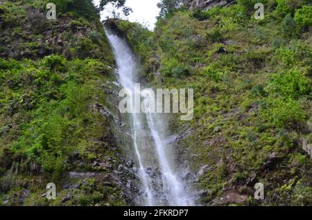 Pisao Wasserfall im Ribeira de Santa Luzia Tal, Funchal, Madeira Stockfoto