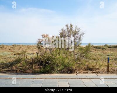 Castelldefels Strand, kleine Stadt in der Nähe von Barcelona Stockfoto