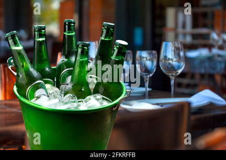 Kalte Flaschen Bier im Eimer mit Eis in einem Restaurant-Umgebung Stockfoto