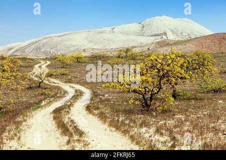 Cerro Blanco Sanddüne und Unpaver Road, die höchsten Dünen der Welt, in der Nähe von Nasca oder Nazca Stadt in Peru Stockfoto