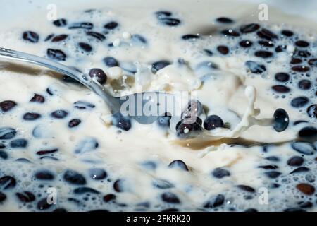 Kaffeebohnen, die auf den Milchspritzer fallen. Tasse Milch. Konzeptfotografie. Stockfoto