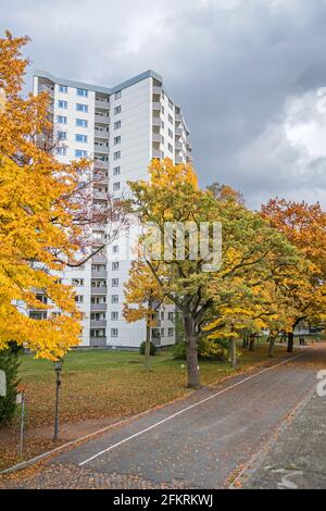 Berlin, Deutschland - 24. Oktober 2020: Wohneinheiten an einer Straße Wilkestraße in der Nähe des Uferweges Greenwichpromenade und herbstlich gefärbte Bäume Stockfoto