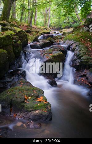 Cloghleagh River, Kilbride, County Wicklow, Irland Stockfoto