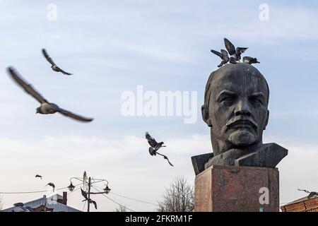 Kirzhach, Region Wladimir, Russland - April 2021: Auf dem zentralen Platz der Provinzstadt sitzen Tauben auf dem Denkmal für Lenins Kopf Stockfoto