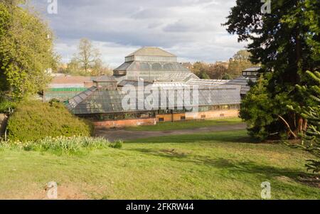 Glasgow Botanic Gardens das Hauptangebot von Glasshouse Stockfoto