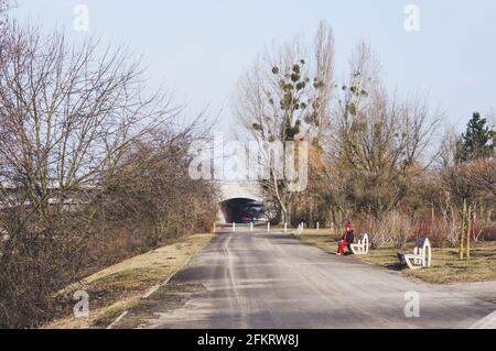 POZNAN, POLEN - 19. Feb 2017: POZNAN, POLEN - 19. FEBRUAR 2017: Fußweg mit blattlosen Bäumen und einem Viadukt in der Ferne an einem kalten Wintertag Stockfoto