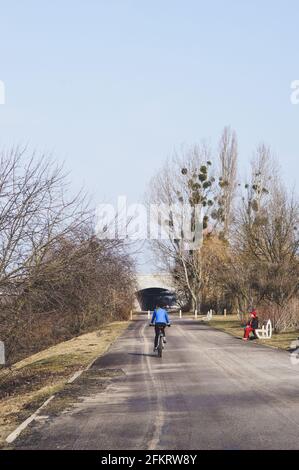 POZNAN, POLEN - 19. Feb 2017: Fußweg mit blattlosen Bäumen und einem Viadukt in der Ferne an einem kalten Wintertag Stockfoto