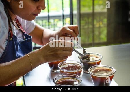 Professioneller Kaffeeverkoster, der neue Gerüche und Aromen testet. Stockfoto