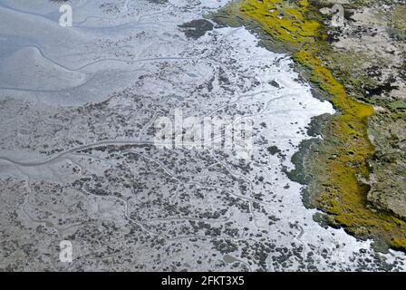 Luftaufnahme der Flussmündung des Chemainus, Chemainus Valley, Vancouver Island, British Columbia, Kanada. Stockfoto