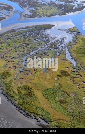 Luftaufnahme der Flussmündung des Chemainus, Chemainus Valley, Vancouver Island, British Columbia, Kanada. Stockfoto