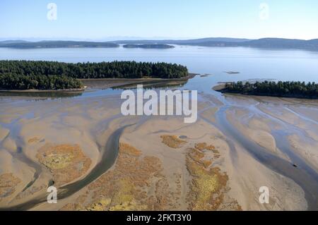 Willy Island, Halalt Island Indian Reserve, Chemainus River Estuary, Chemainus Valley, British Columbia, Kanada. Stockfoto