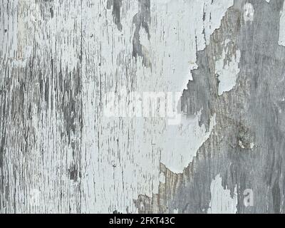 Abblätternde weiße Farbe, die vom alten Farmscheunengebäude abblättert Nahaufnahme der Wand Stockfoto