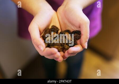 Hohlen Händen mit Rosinen, close-up Stockfoto