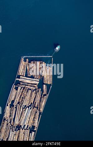 Der Baumboom wird im Ladysmith Harbour, Vancouver Island, British Columbia, Kanada, geschleppt. Stockfoto