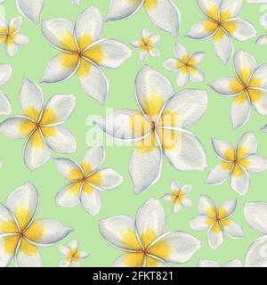 Hawaiianische Blumen. Nahtloses Blumenmuster. Aquarelldarstellung. Handzeichnung Stockfoto