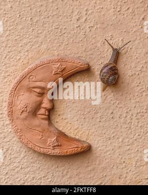 Eine Schnecke kriecht auf einer lachsrosa Wand daneben Ein lustiger Mond aus Terrakotta, gezeichnet mit einem menschlichen Gesicht Stockfoto