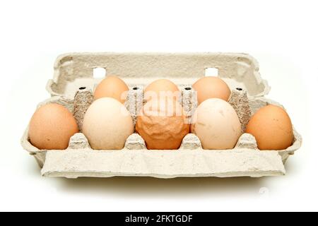 Das Bio-Ei mit rauer und welliger Eierschale unter anderem guten Eiern. Isoliert auf weißem Hintergrund. Stockfoto