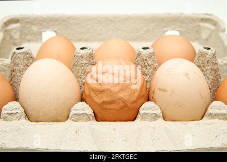 Das Bio-Ei mit rauer und welliger Eierschale unter anderem guten Eiern. Isoliert auf weißem Hintergrund. Stockfoto