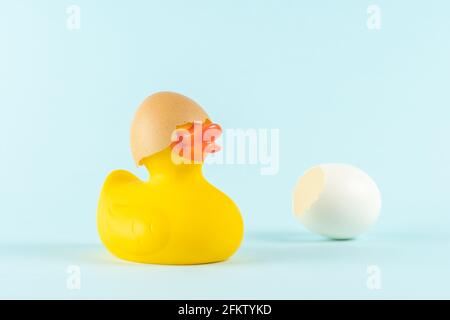 Gummiente mit rissigen Ostereiern auf pastellblauem Hintergrund. Minimales Osterkonzept. Kreatives Happy Easter oder Frühlingslayout. Stockfoto