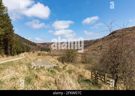 Blick auf North Dale, Newton Dale entlang der North Yorkshire Moors Railway, Stape, North York Moors, Yorkshire, England Stockfoto