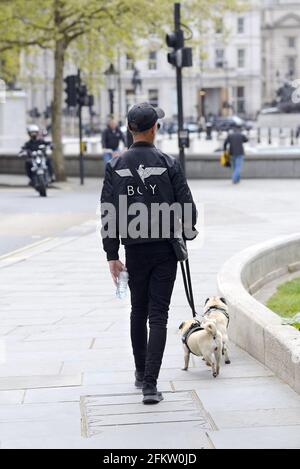 London, England, Großbritannien. Mann, der zwei Moorhunde auf dem Trafalgar Square läuft Stockfoto