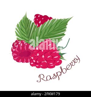 Himbeer-Beeren mit grünen Blättern isoliert auf weißem Hintergrund. Eine Inschrift mit dem Namen der Pflanze. Vektorgrafik. Stock Vektor