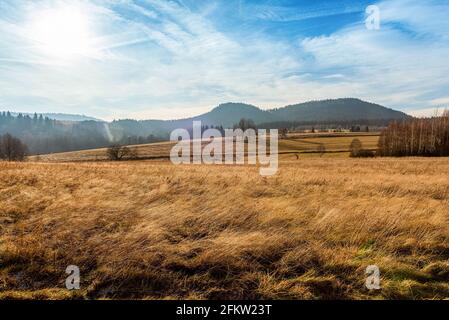 Freiluftwiese mit verblassenem Gras in einer Herbstsaison mit Wald und Bergen am Horizont. Naturlandschaft, horizontales Foto Stockfoto