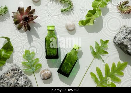 Wasser Hintergrund, kosmetische Hautpflege Feuchtigkeitscreme in grünen Flaschen. Dunkle Glasflaschen. Wasseroberfläche, Spritzer, Ringe, Granitsteine. Exotische Blätter Stockfoto