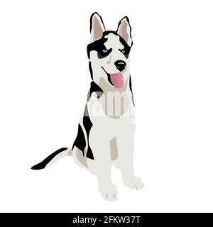 Sibirischer Husky Welpe. Hochformat. Vektor-Illustration eines Haustiers in einem einfachen flachen Stil. Isoliert auf weißem Hintergrund. DOG-Symbol oder Logo-Element Stock Vektor