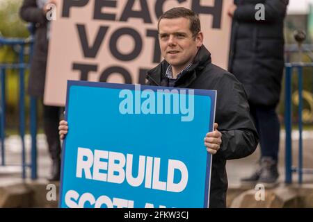 Musselburgh, Großbritannien. 04. Mai 2021 im Bild: Douglas Ross, Vorsitzender der schottischen Konservativen in der letzten Wahlwoche für die schottischen Parlamentswahlen. Kredit: Rich Dyson/Alamy Live Nachrichten Stockfoto