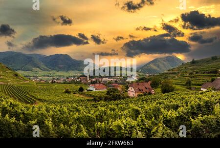 Sonnenuntergang über Weinberg und Stadt Spitz in Wachau, Österreich. Stockfoto