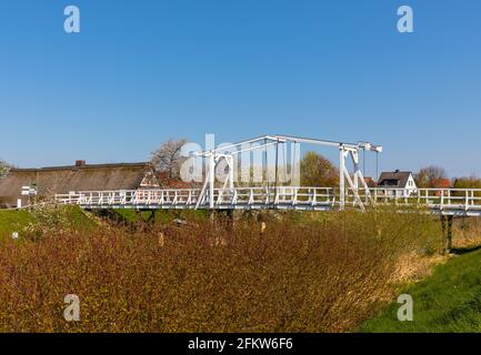 Hölzerne Zugbrücke über die Lühe im Alten Land in Niedersachsen, Bauernhaus und blühende Bäume im Hintergrund Stockfoto