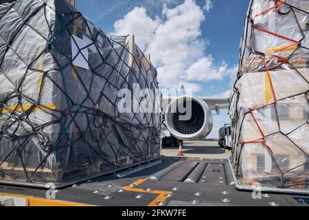 Vorbereitung vor dem Flug. Verladung von Frachtcontainern gegen den Düsenmotor des Frachtflugzeugs. Stockfoto