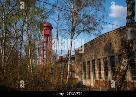 Landschaft im Naturpark Schoneberger Sudgelande in Schoneberg Berlin Stockfoto