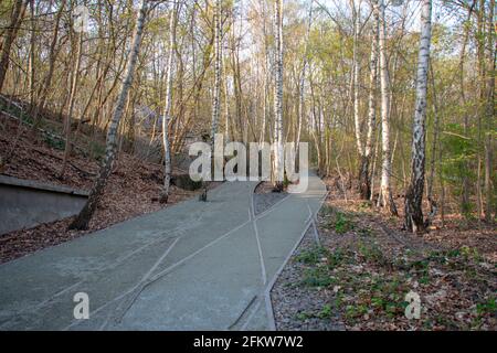 Landschaft im Naturpark Schoneberger Sudgelande in Schoneberg Berlin Stockfoto