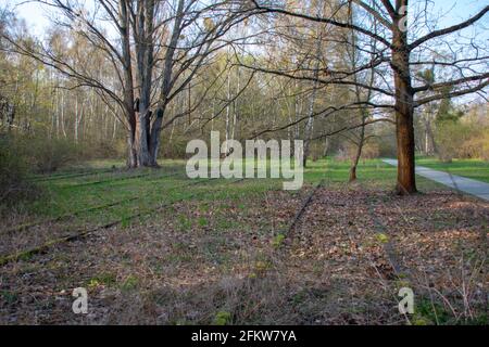 Landschaft im Naturpark Schoneberger Sudgelande in Schoneberg Berlin Stockfoto