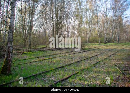 Landschaft im Naturpark Schoneberger Sudgelande in Schoneberg Berlin Stockfoto