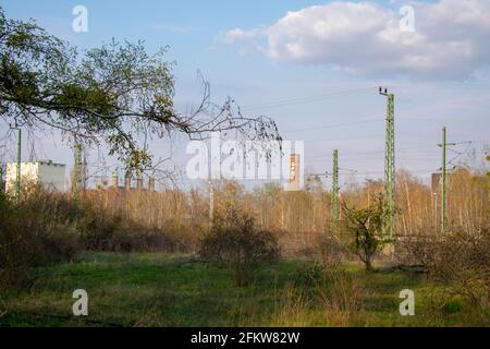 Landschaft im Naturpark Schoneberger Sudgelande in Schoneberg Berlin Stockfoto