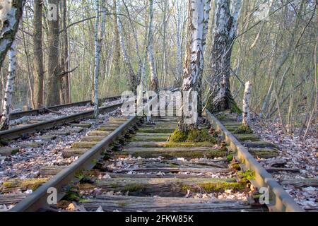 Landschaft im Naturpark Schoneberger Sudgelande in Schoneberg Berlin Stockfoto