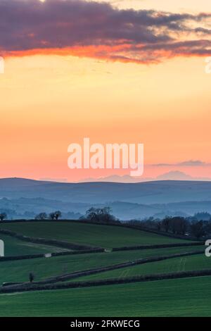 Sonnenuntergang über Totnes Fields, Berry Pomeroy Village, Devon, England, Europa Stockfoto