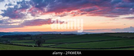 Sonnenuntergang über Totnes Fields, Berry Pomeroy Village, Devon, England, Europa Stockfoto