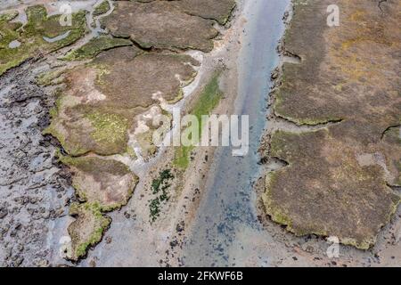 Wattenmeer und Sumpfland im vereinigten königreich an der Mündung des Ein von Ebbe nicht verdeckter Estarr Stockfoto