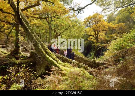 MATTERDALE, Großbritannien - 22. OKTOBER 2019: Touristen, die auf einer Steinbrücke die berühmte Aira Force Wasserfall auf Aira Beck Bach, im Lake Dis Stockfoto