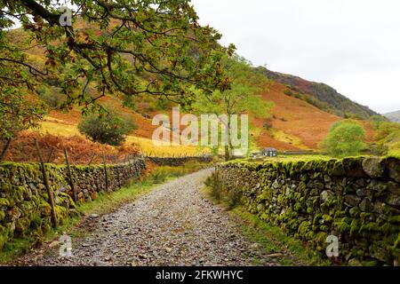 Fußweg zum Stonethwaite Beck, einem kleinen Fluss, der sich am Zusammenfluss von Langstrath Beck und Greenup Gill unterhalb von Eagle Crag gebildet hat. Erkunden Sie den schönen Stockfoto