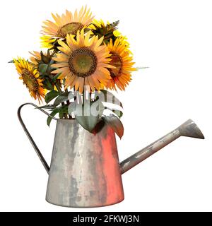 3D-Rendering von gewöhnlichen Sonnenblumen oder Helianthus in einer Waterning Kann auf weißem Hintergrund isoliert werden Stockfoto